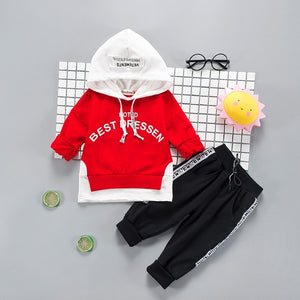 Toddler Boys Clothes 2019 Autumn Winter Kids Clothes Hooded+Pant
